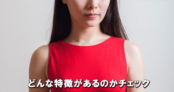 どんな特徴があるのかチェック