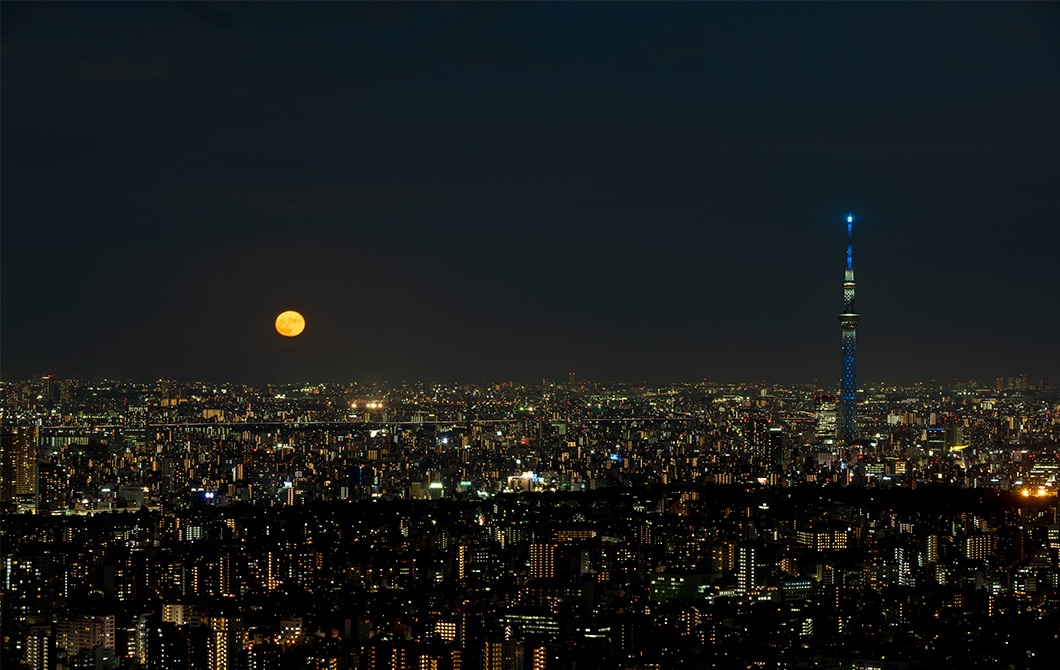 池袋の夜景